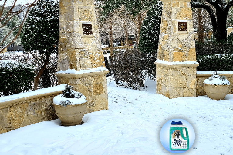 Predicting Snowfall When And How It's Going To Snow In Your Region