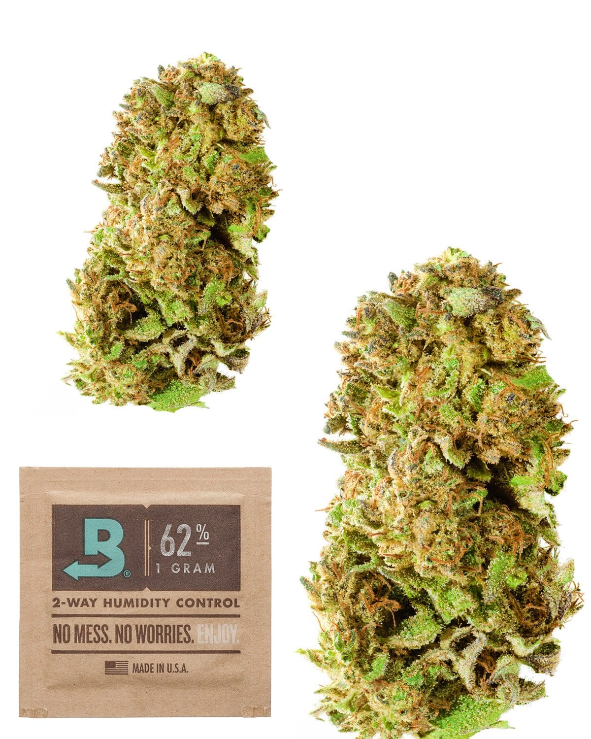 CBD Hemp Flower for Sale Lifter Strain Safer CBD