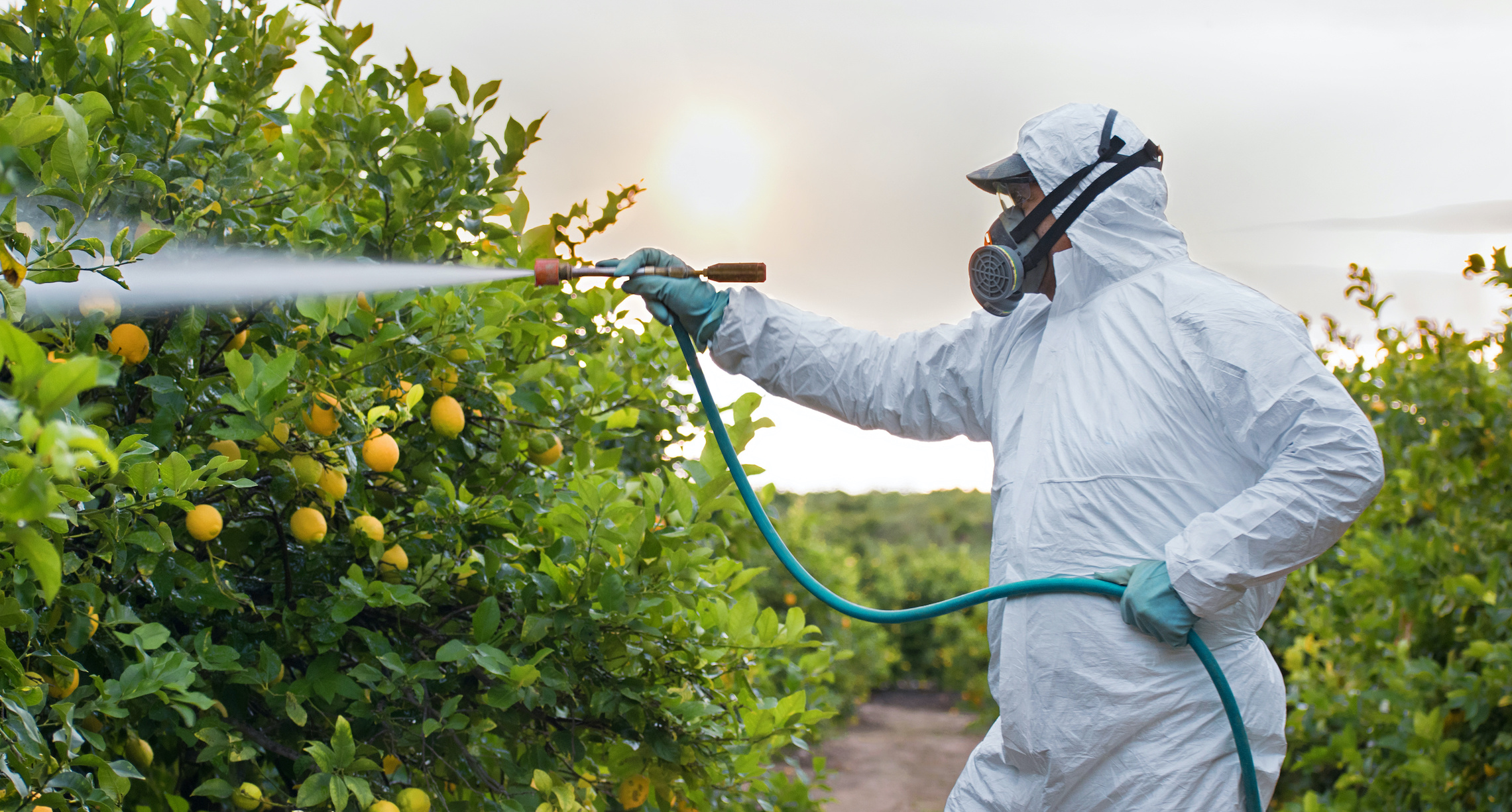 Cómo empezar con tu programa de protección respiratoria Parte 2