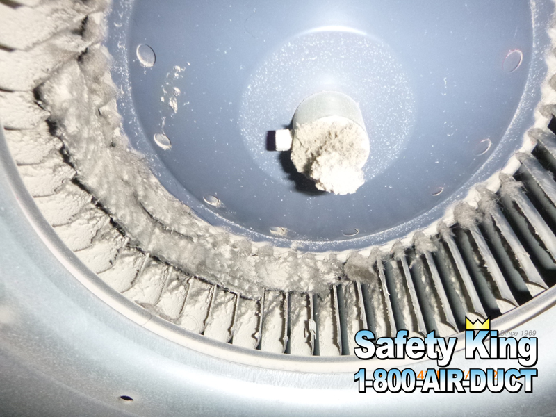 Testimonials Safety King, Inc.