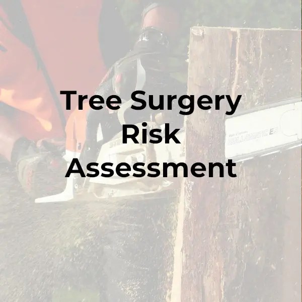 Tree Surgery Risk Assessment Safety Place