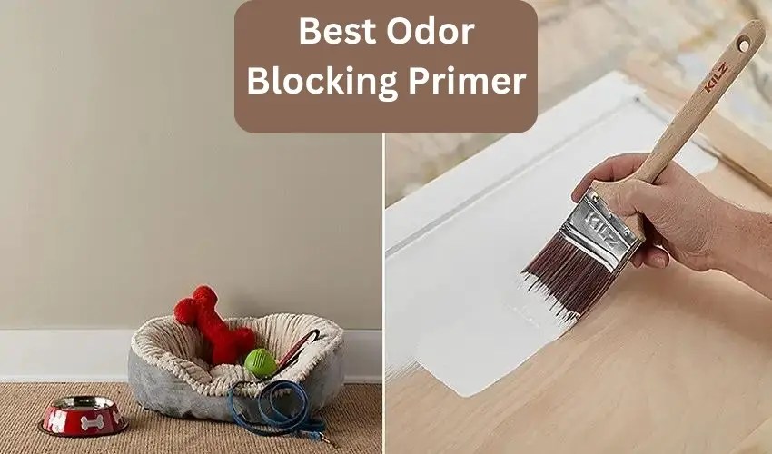 Best Odor Blocking Primer for 2023 [Quality Odor Blockers]