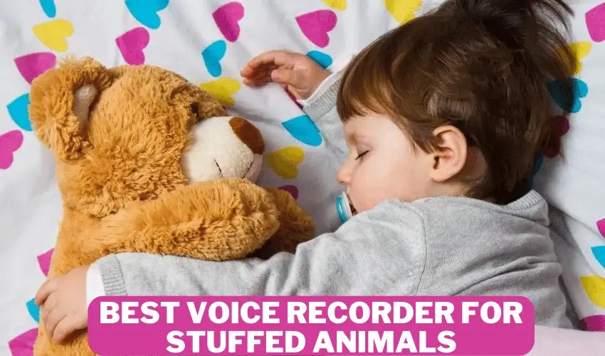 Best Voice Recorder for Stuffed Animals Everything You Need to Know