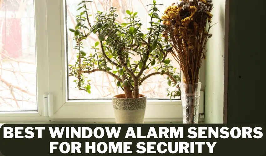 The Best Window Alarm Sensors for Home Security in 2023