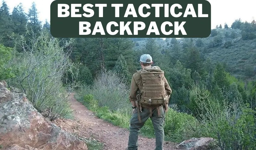 Best Tactical Backpack Under 50 In 2023 [Top Picks & Reviews]
