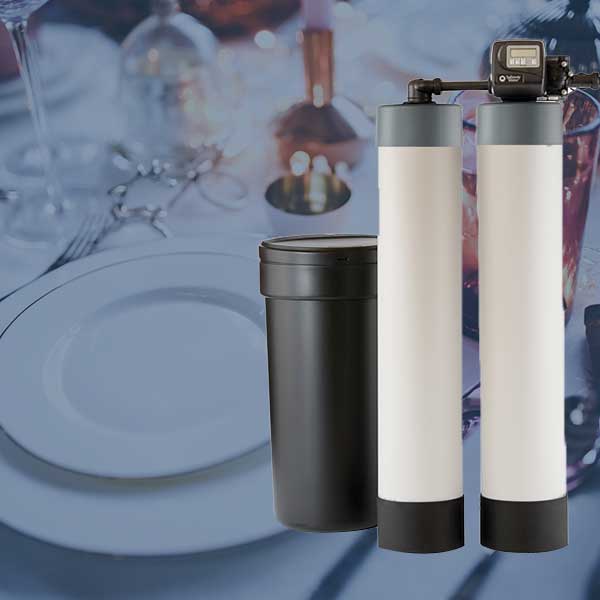 Dual Alternating Water Conditioning Systems Safeway Water LLC Safeway Water LLC