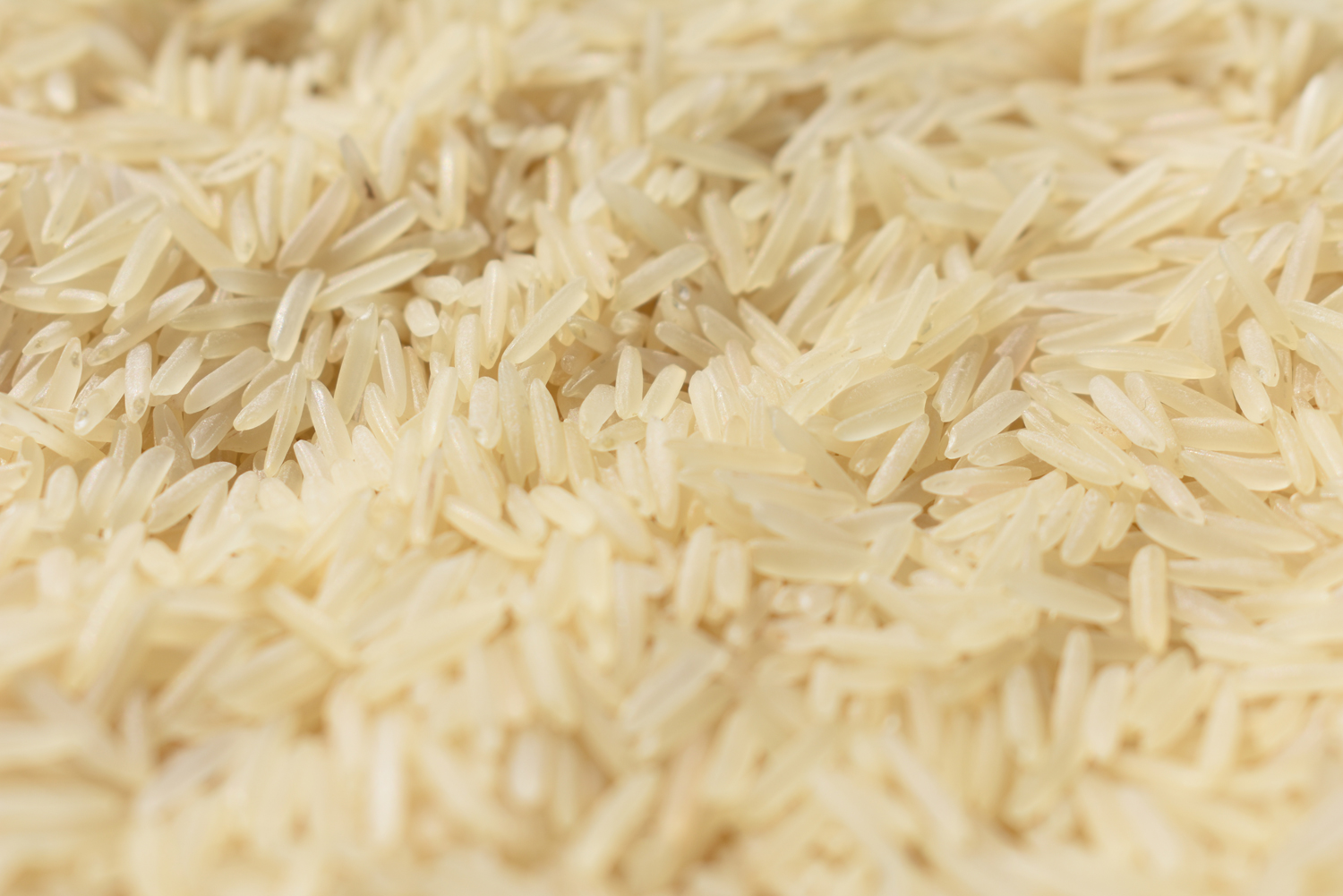 Gallery Saffron Basmati Rice