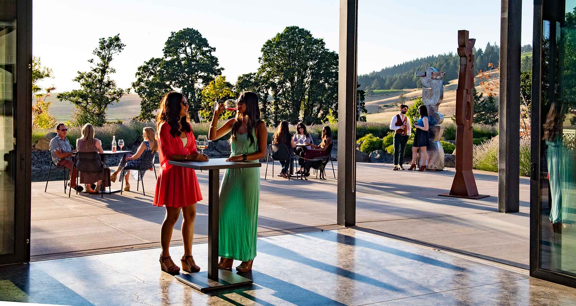 visit Saffron Fields Vineyards