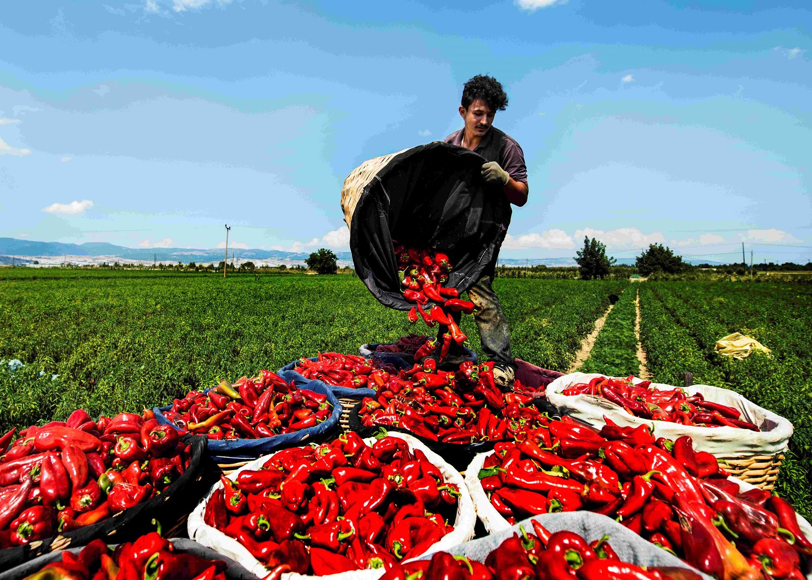 New World Bank Program Provides Lifeline to Lebanon’s Poor by