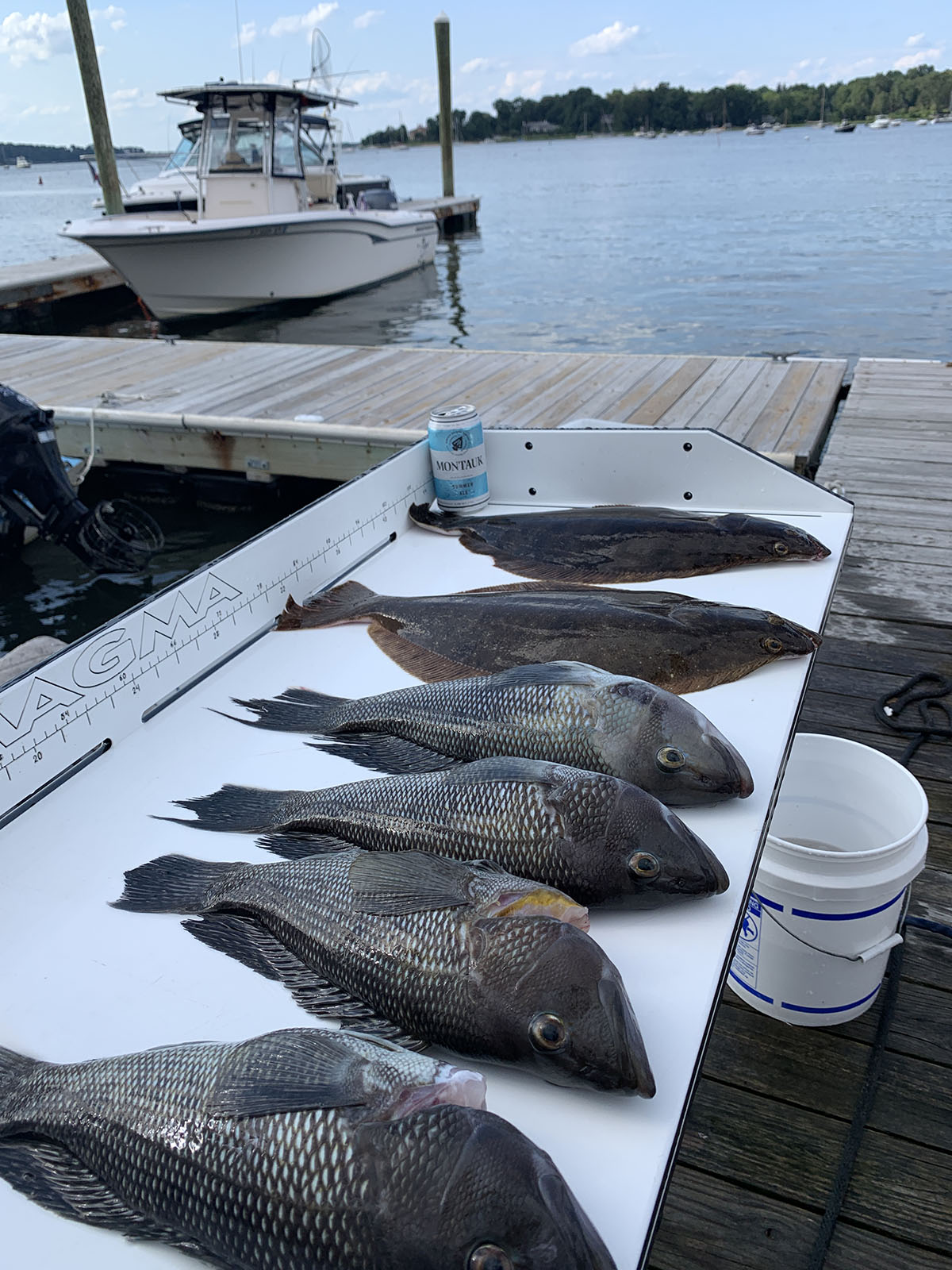 Fishing Sagamore Yacht Club