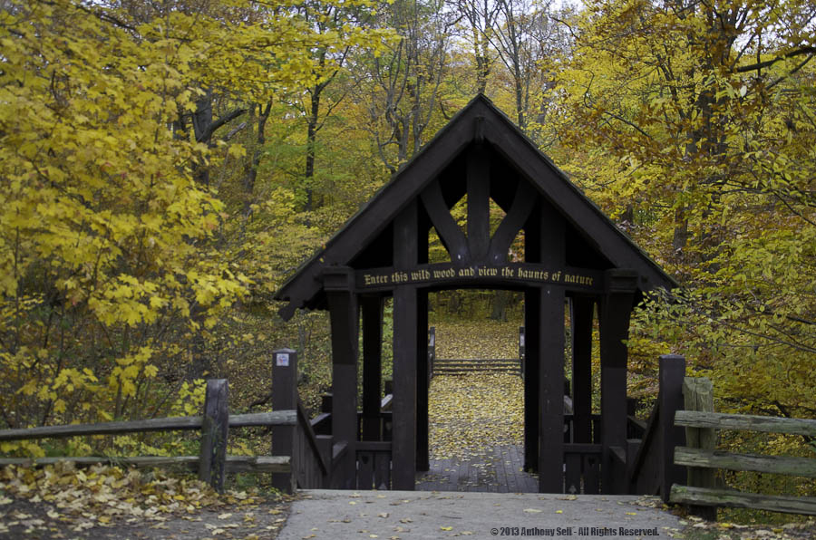 Grant Park Seven Bridges The End of Fall The Art of Anthony Sell