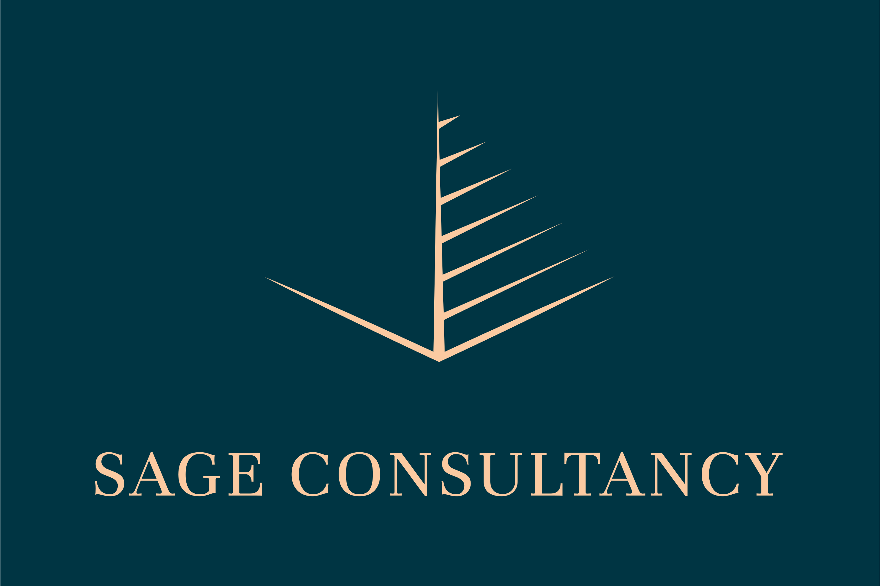 Home Sage Consultancy