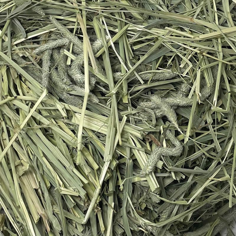 Timothy Sage Hill Northwest, Inc.