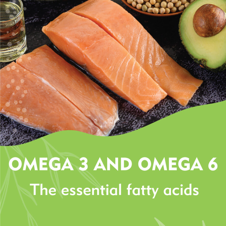 The importance of Omega 3 and Omega 6 →