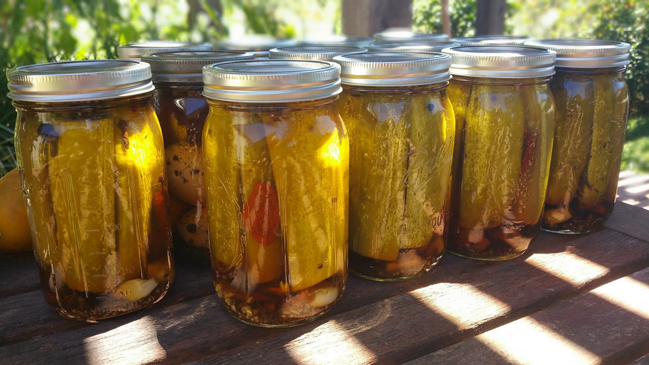 Make Summer Pickes Sage's Acre Suburban Homestead & Gardens