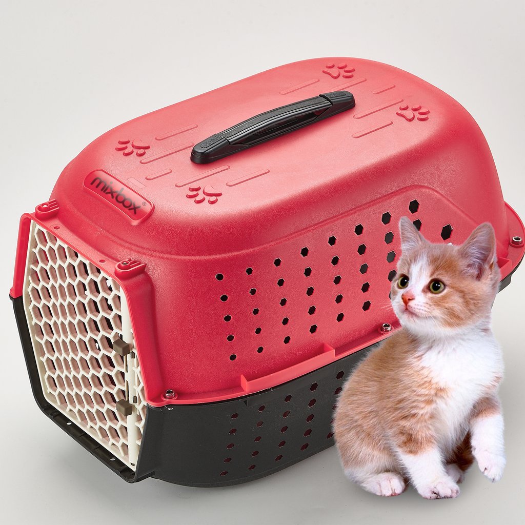 Pet Carrier Travel Box Puppy, kitten And Cat Sagor Mart