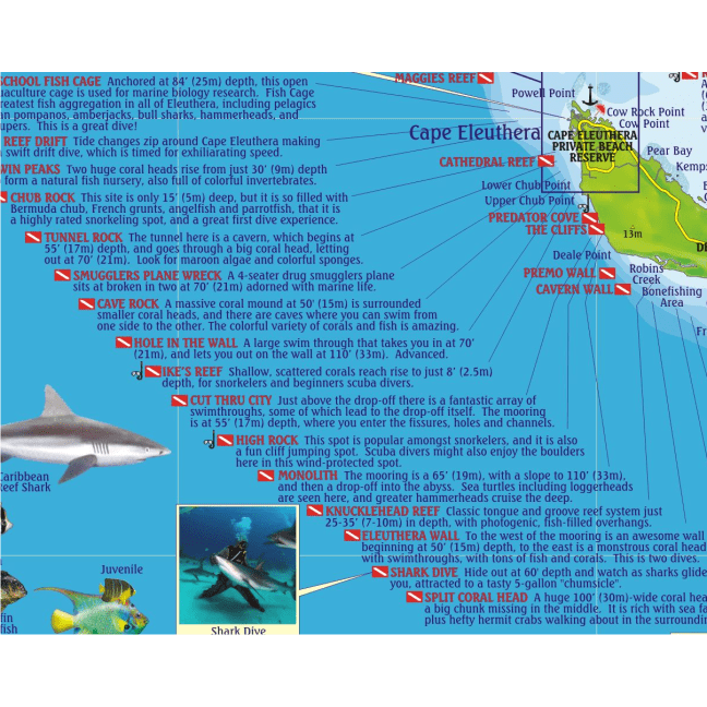 Franko Eleuthera Island Adventure and Dive Guide Saguaro Scuba