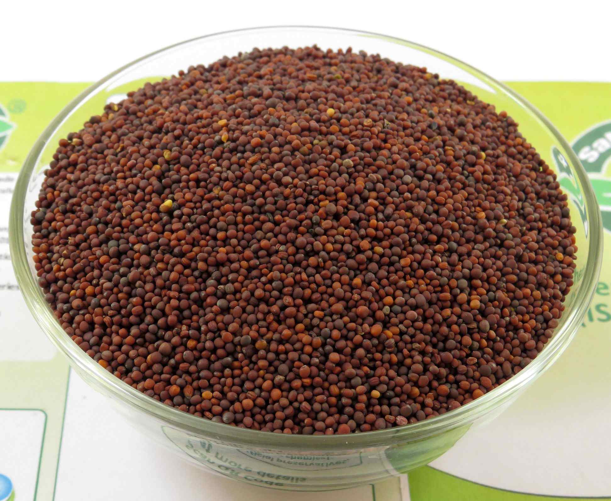 Black Mustard In Hindi at Brandi McArthur blog