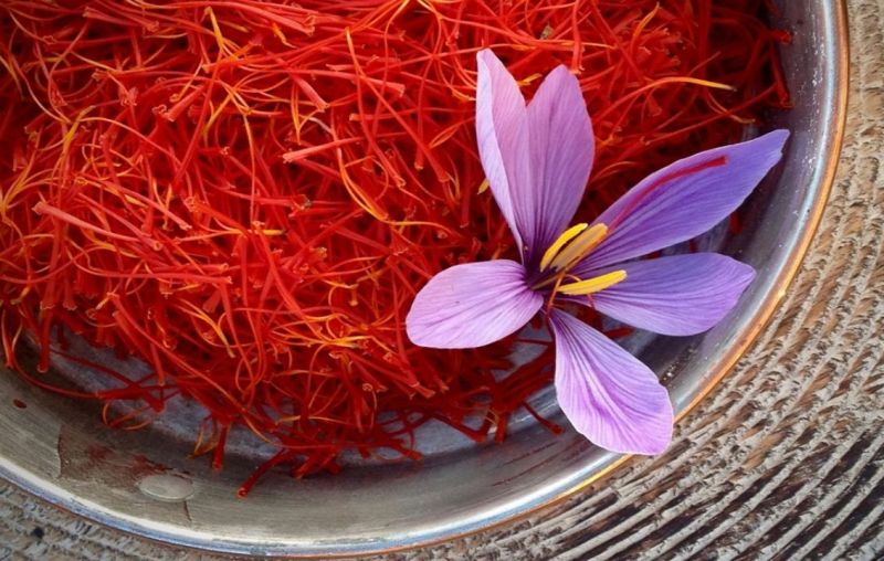 Saffron – Sahara Business Group