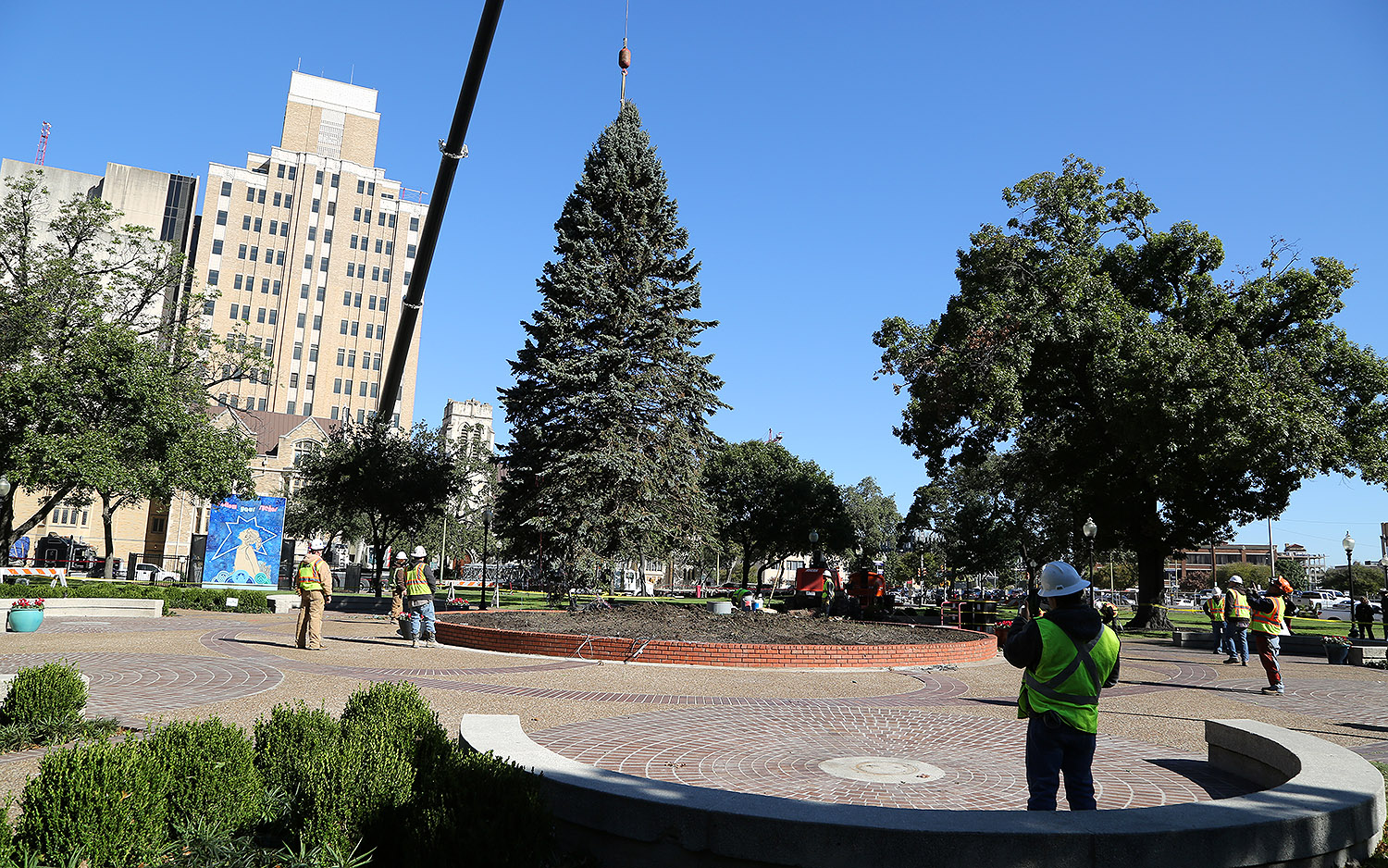 Christmas tree arrives at Travis Park San Antonio Heron