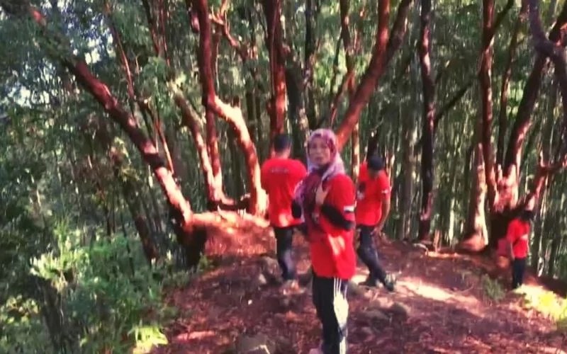 BUKIT MERAH, PADANG PIOL UNIK DAN MENAKJUBKAN SAHIH