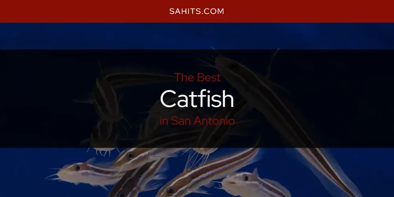 San Antonio's Best Catfish [Updated 2024]