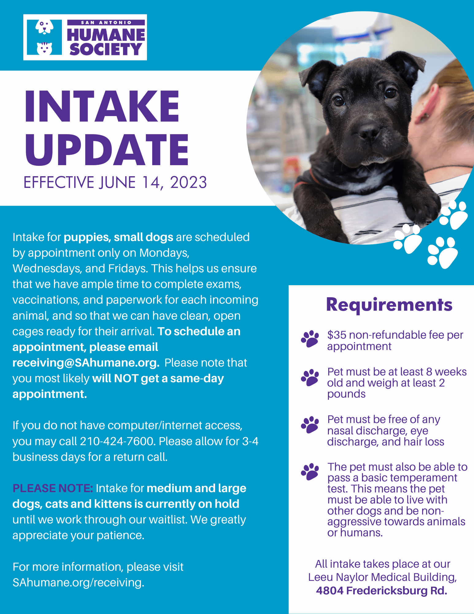 Do They Kill Dogs At The Humane Society