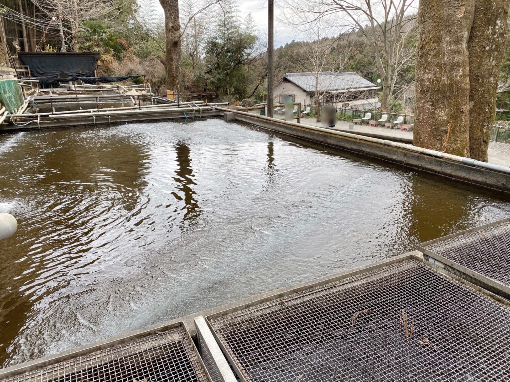 寄居町風布にある「風布にじます釣り堀センター」でニジマスを釣って食べてきた。 埼北つうしん『さいつう』