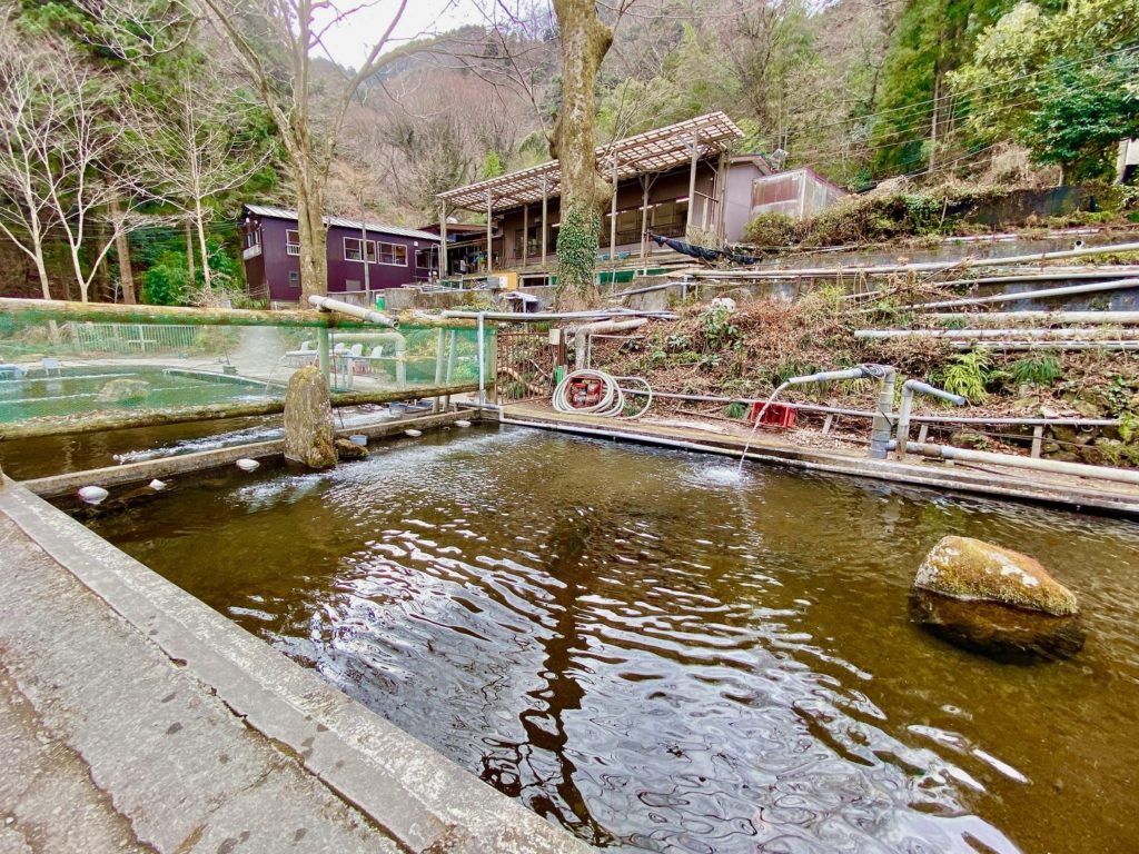 寄居町風布にある「風布にじます釣り堀センター」でニジマスを釣って食べてきた。 埼北つうしん『さいつう』