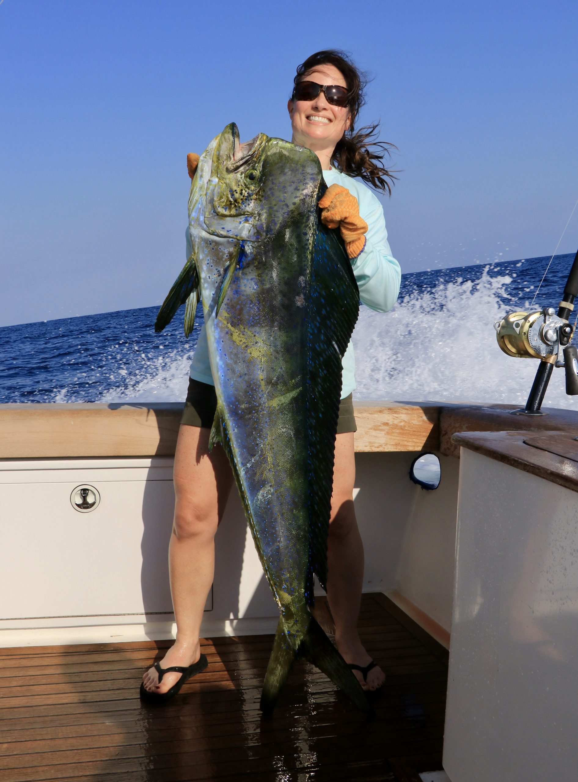 Fish Table Jammer 2018 Matttroy