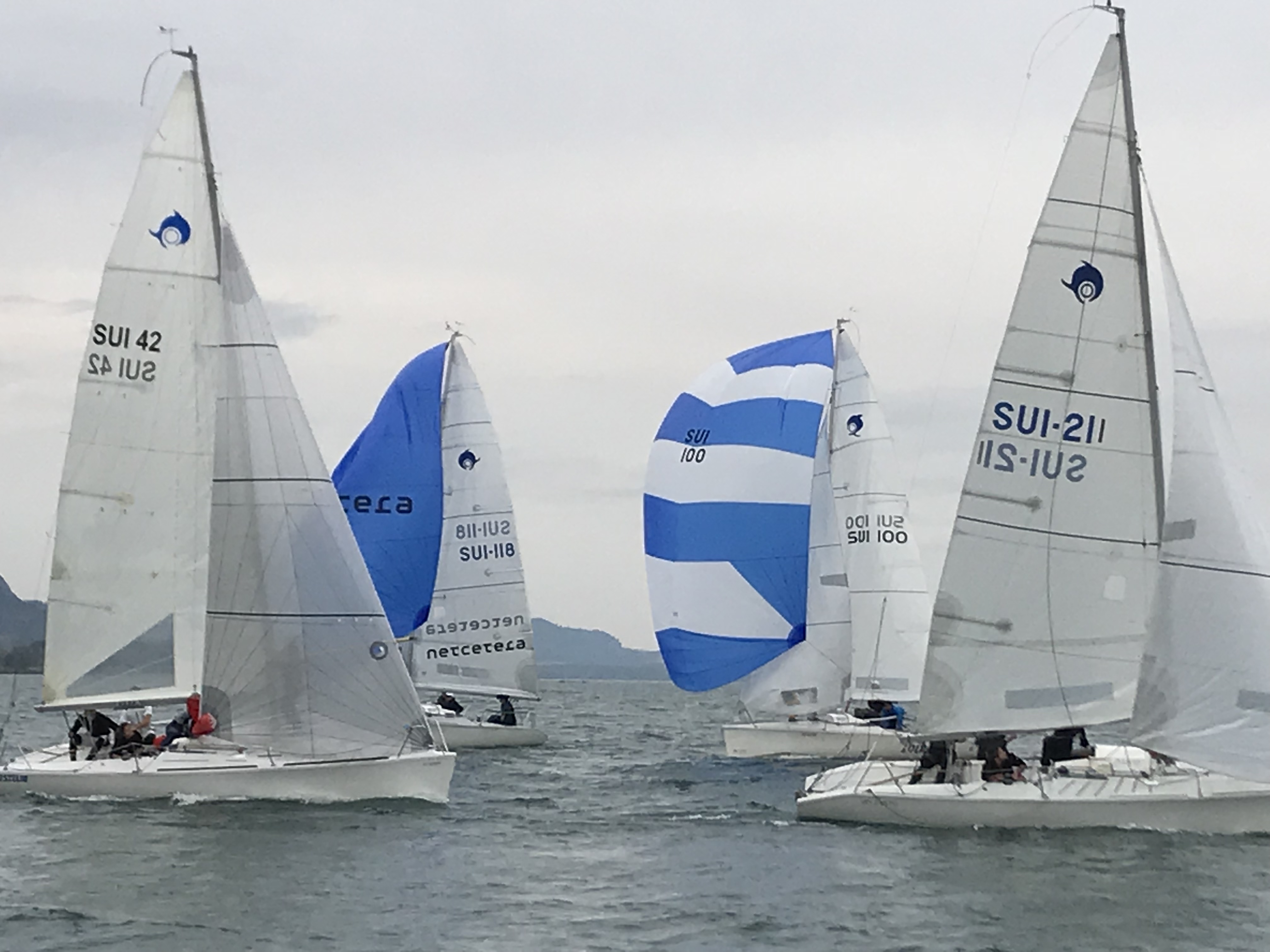 Sailing News Dolphin 81 HerbstRegatta YC Spiez