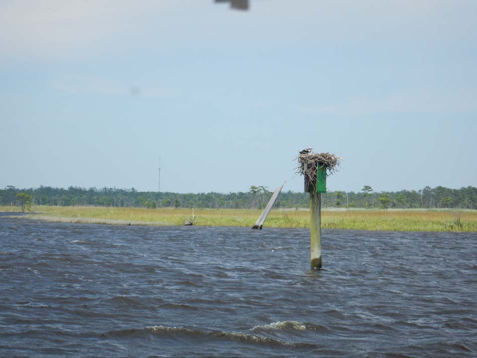 200 miles of Intracoastal Waterway Sailing Altera
