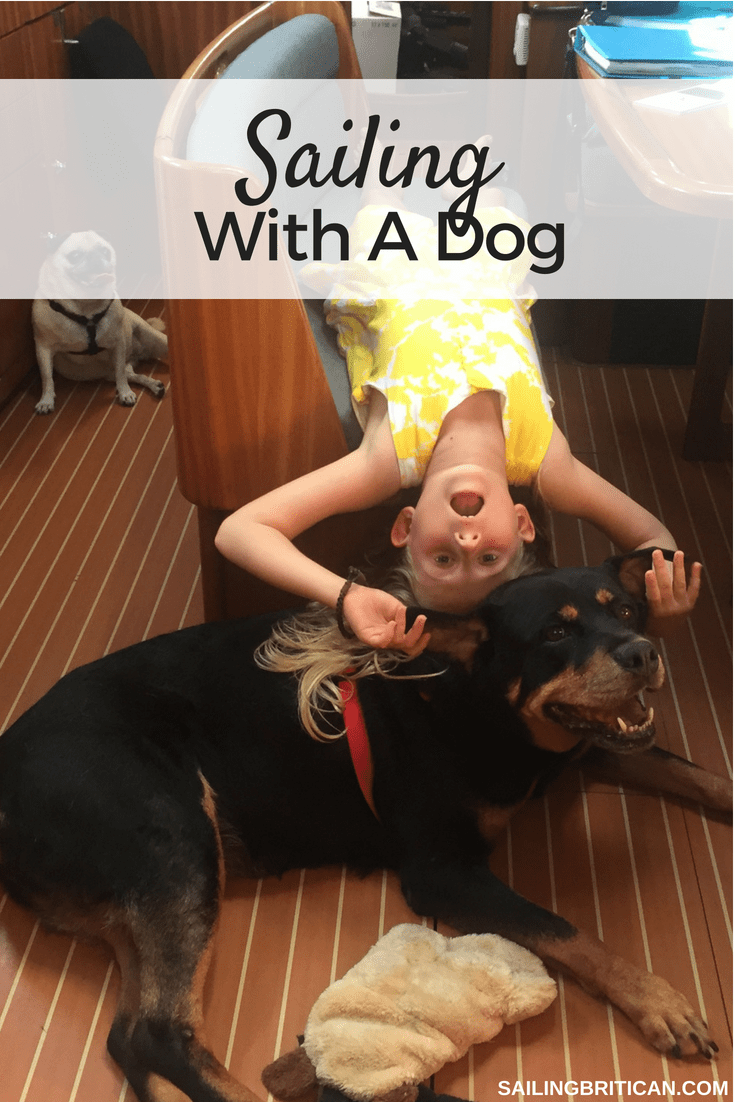Pets On Board Sailing With A Dog On Board Sailing Britican