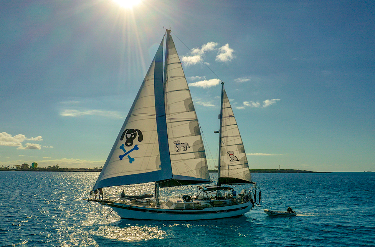 Fire At Sea Video Sailing Doodles