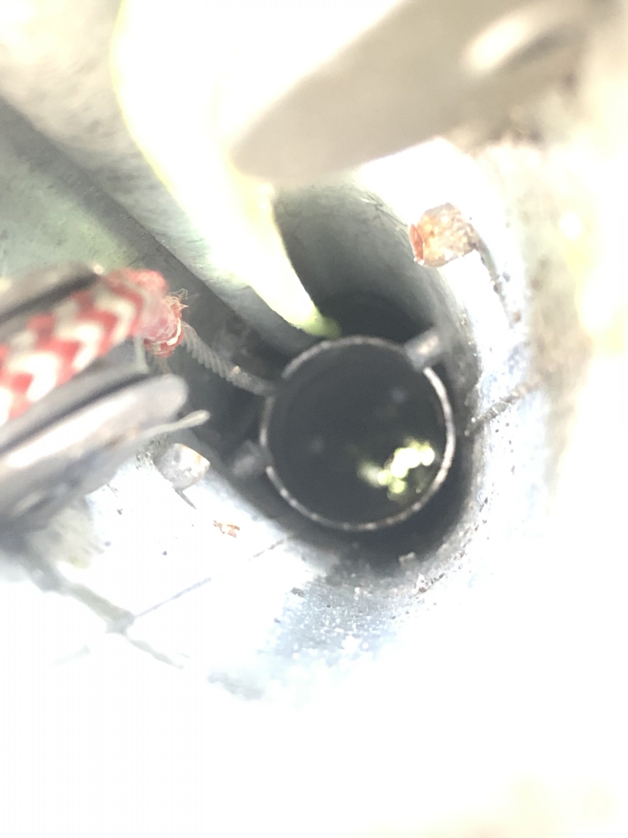 Main sail halyard stuck