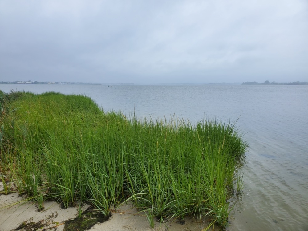 Shrewsbury River 2022 Sailing Moga