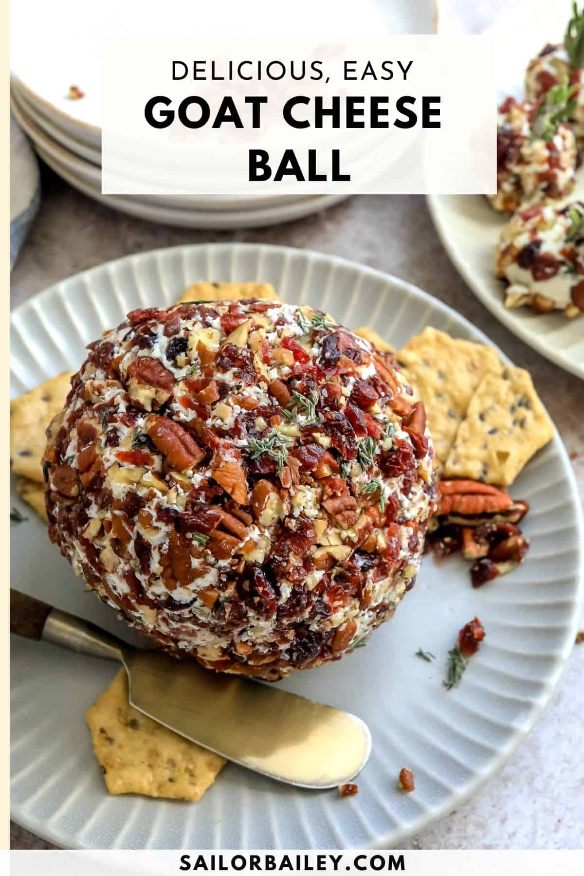 Cranberry Pecan Goat Cheese Ball Sailor Bailey