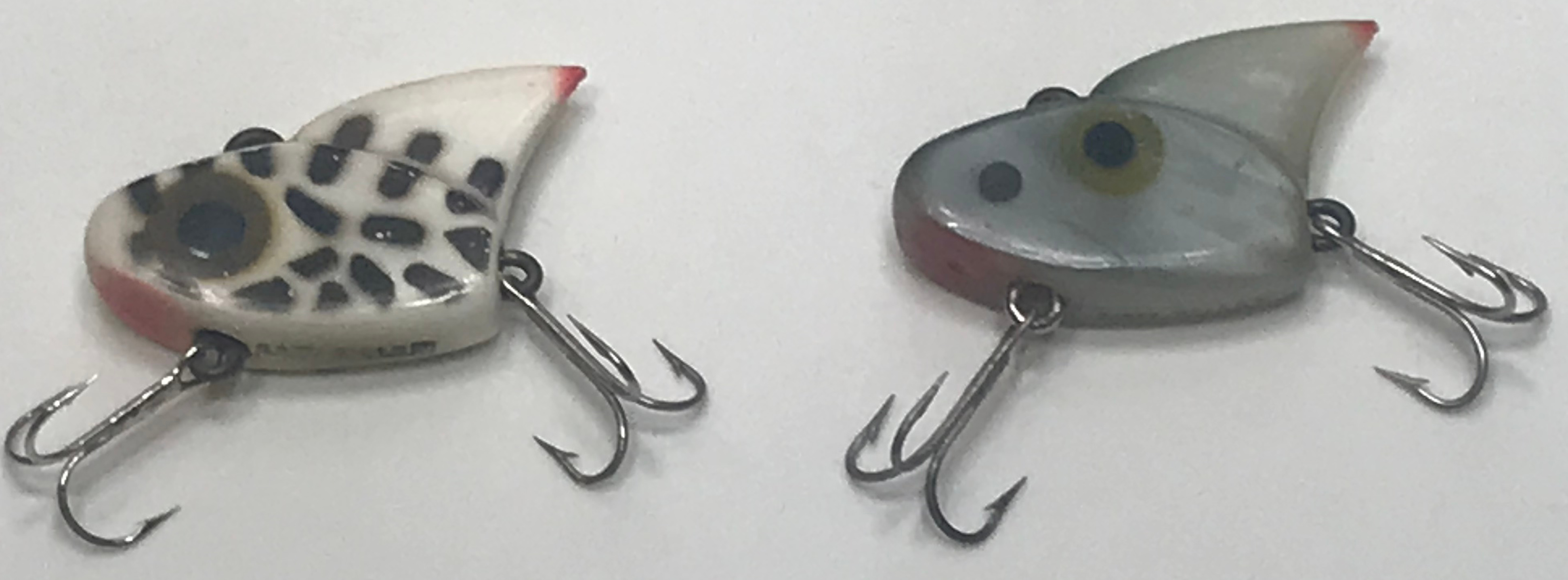 Sail Sharks Demon Sail Shark