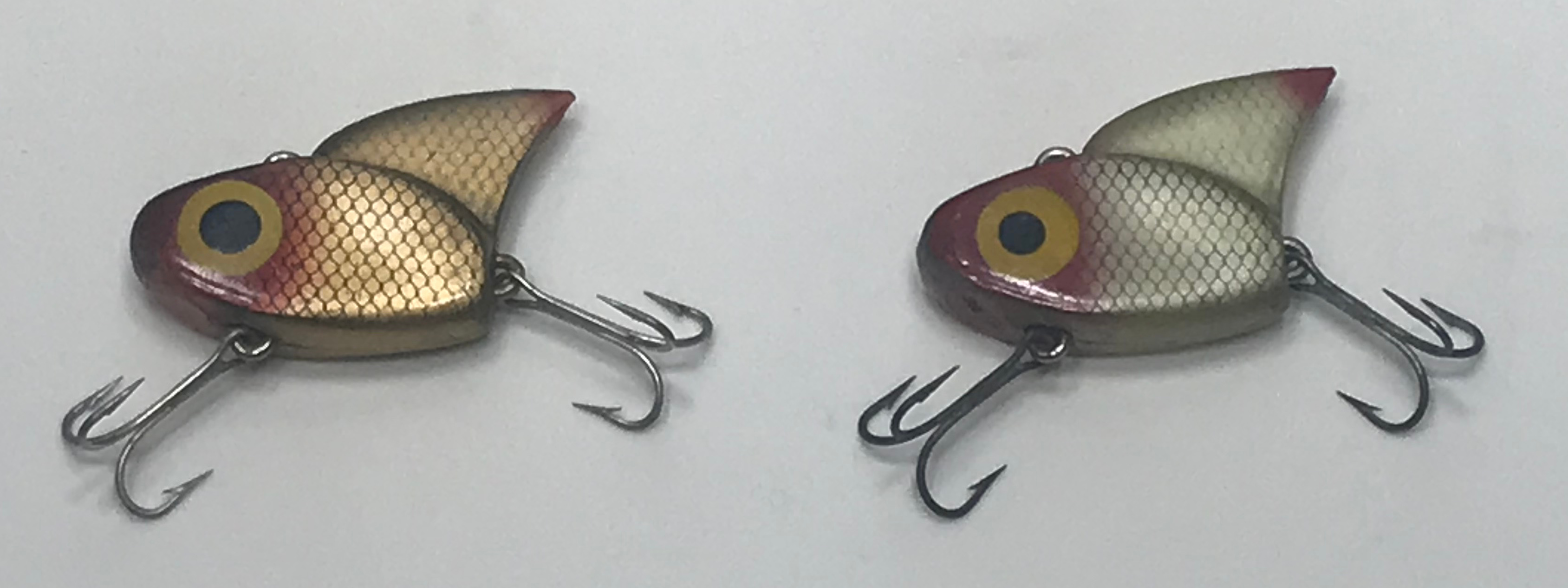 Sail Sharks Demon Sail Shark