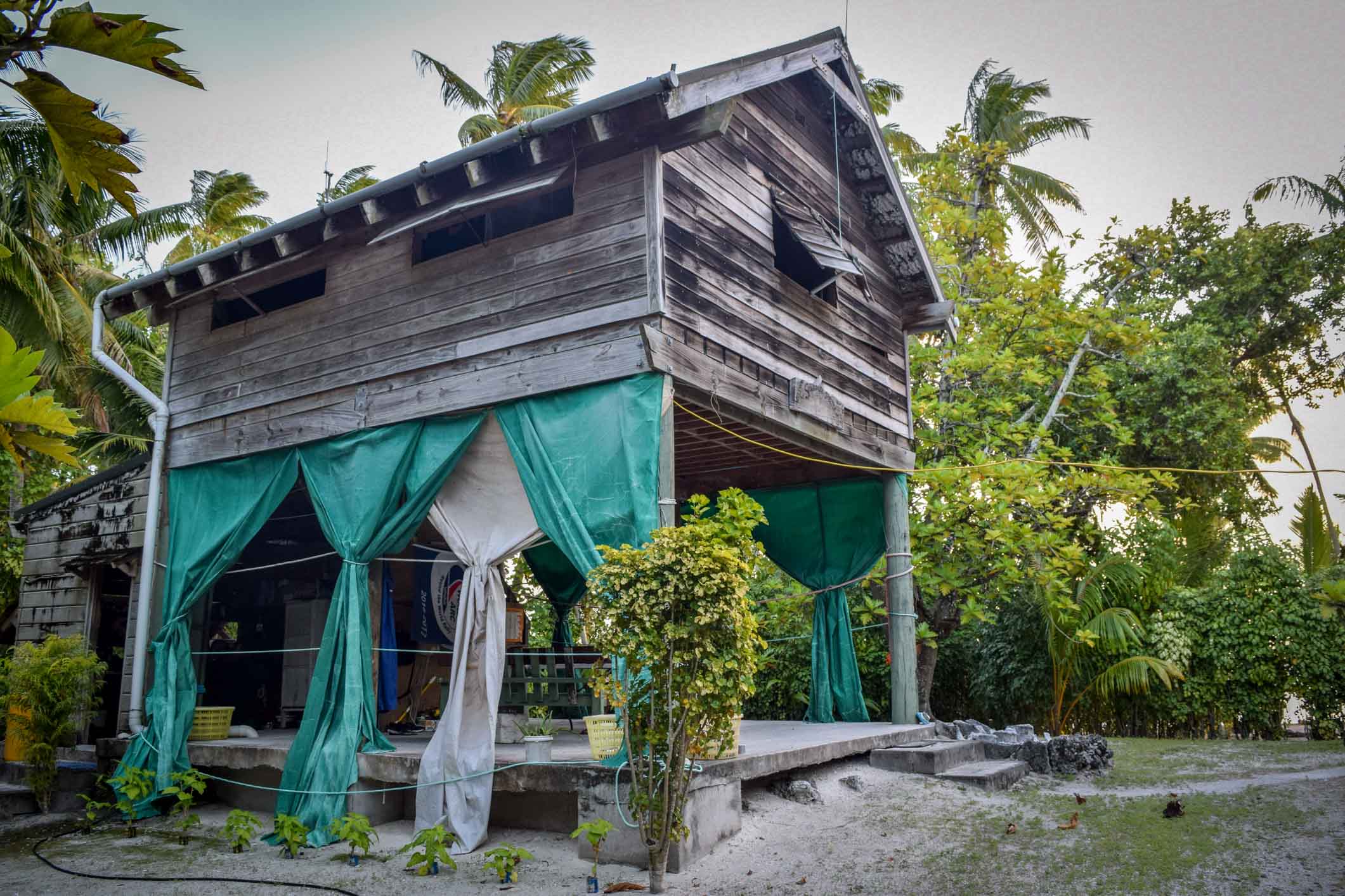 3 Sailing Yacht Florence