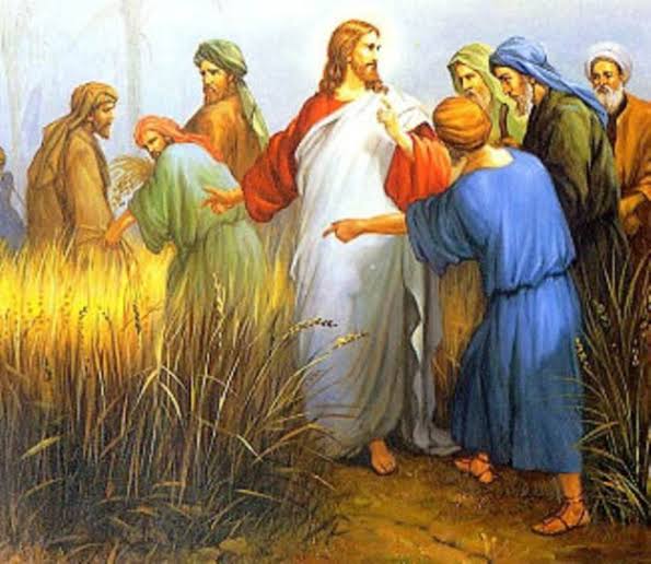 Scrupulosity Catholic Daily Reflections September 5, 2020 San