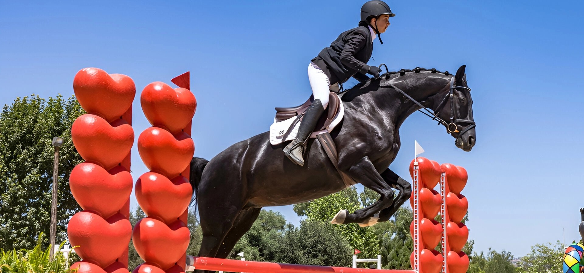 Equestrian Facility, Southern CA Saint Blaise Equestrian