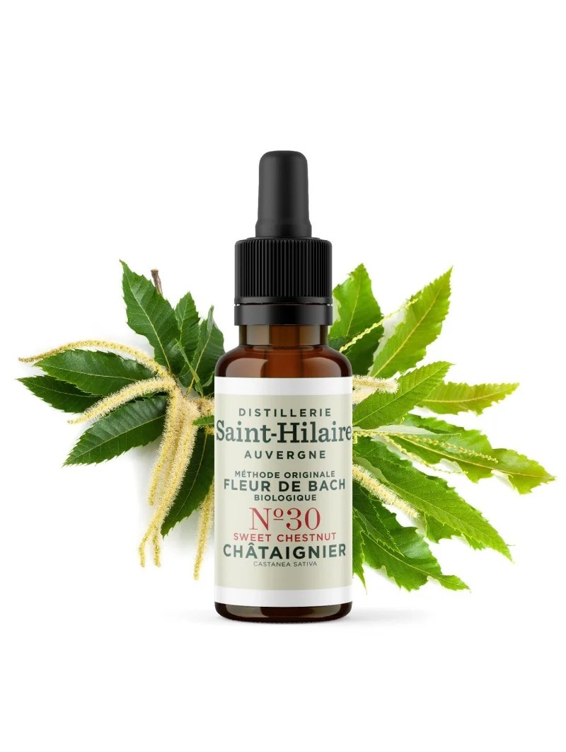 Fleur de Bach CHATAIGNIER N°30 Fleurs de Bach bio