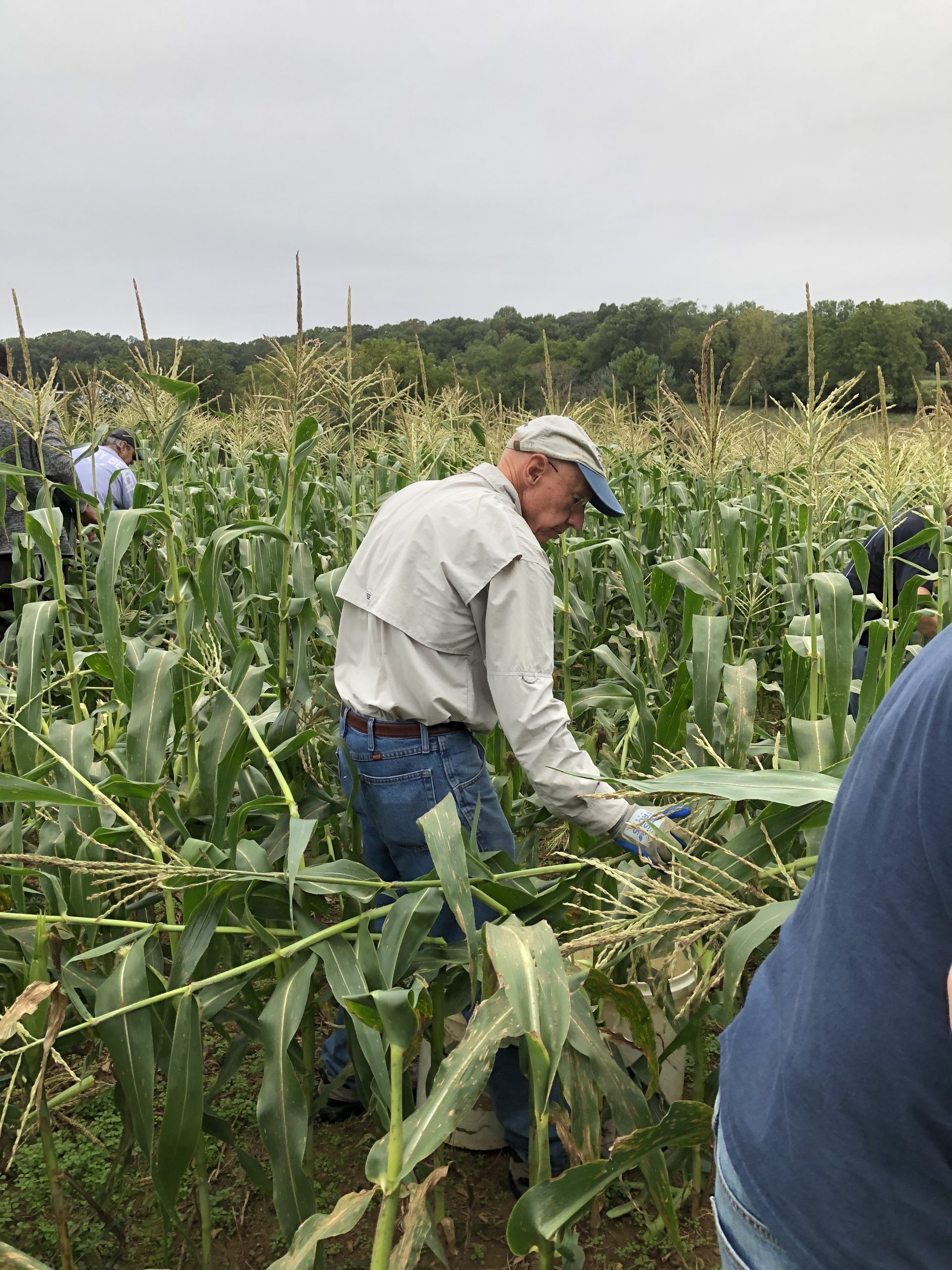 First Fruits Farm October 8th Saint James