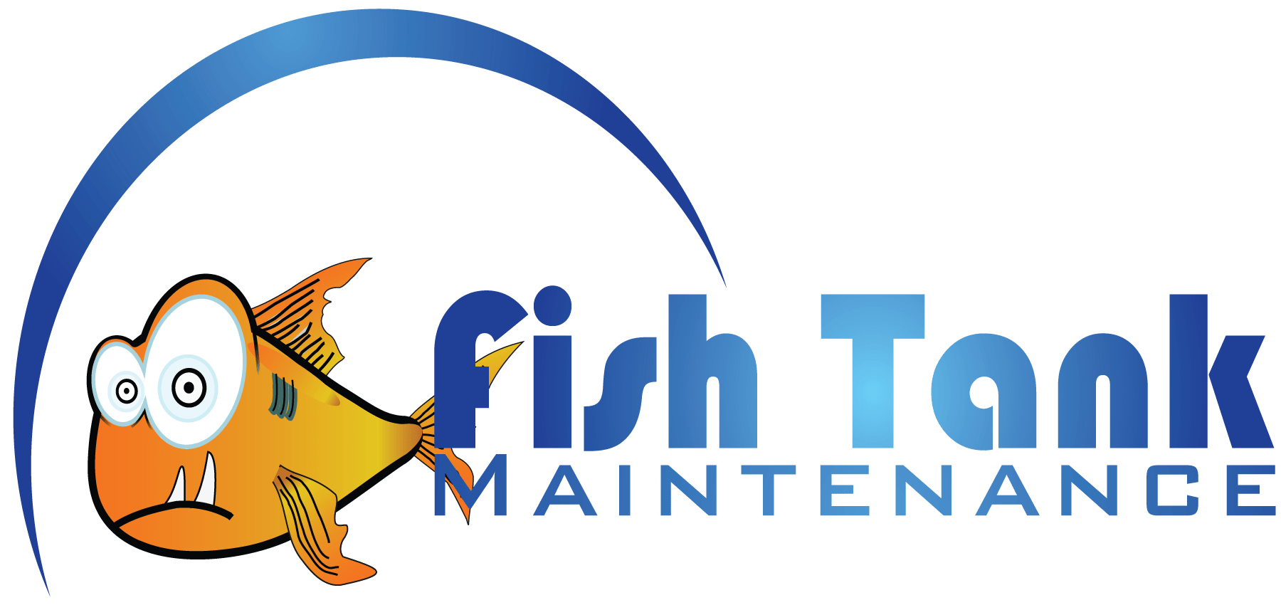 Aquarium Maintenance in the Saint Louis Area
