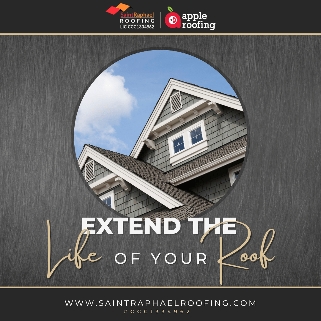 The Pinnacle of Roof Preservation A Guide to Extending the Life of