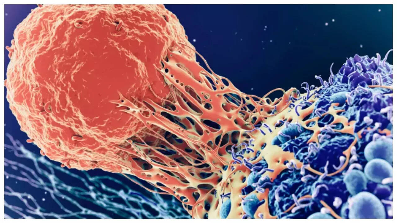 7 ways to keep Cancer away 7 ways to keep Cancer away