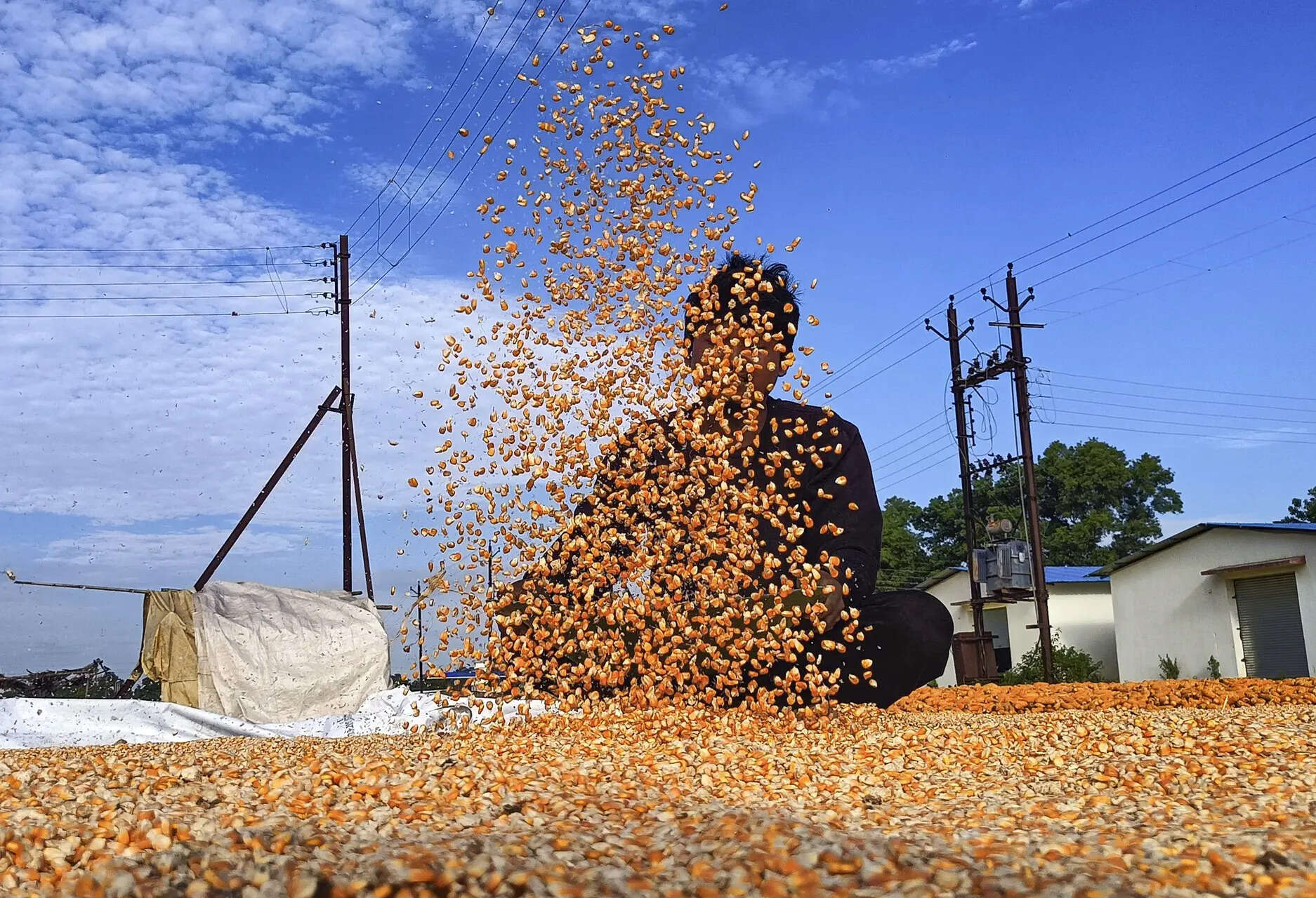 Fill vacant posts immediately to improve farm education, Chouhan tells ICAR, ETEducation Fill vacant posts immediately to improve farm education, Chouhan tells ICAR, ETEducation