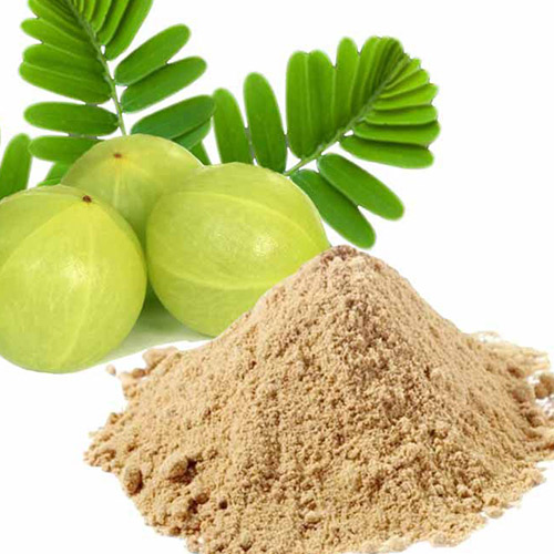 Amla Powder Saipro