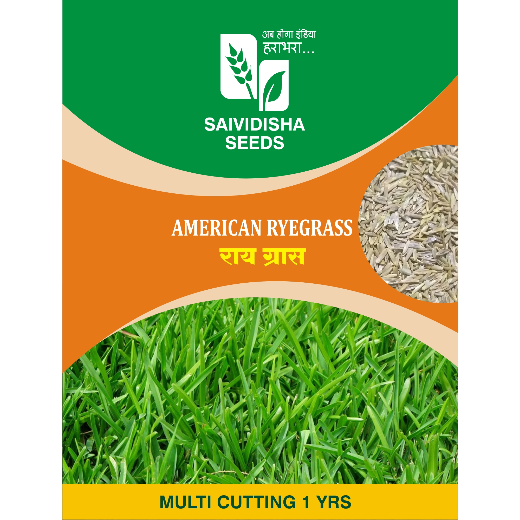 Green Grass Seeds ubicaciondepersonas.cdmx.gob.mx